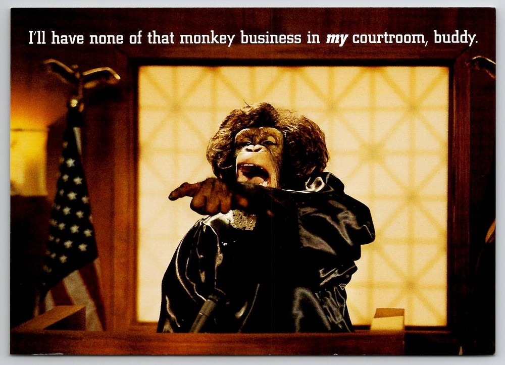 The Chimp Channel Monkey Network 1999 Max Racks Postcard L33