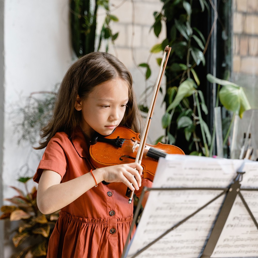 Solid Wood Violin 4/4 Full Size Set Beginner Fiddle for Student with Case