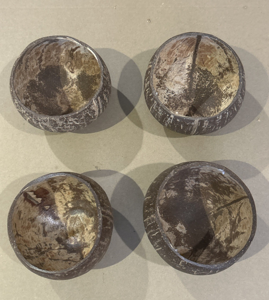 4 COCONUT SHELL CUPS for Crafting Decoration