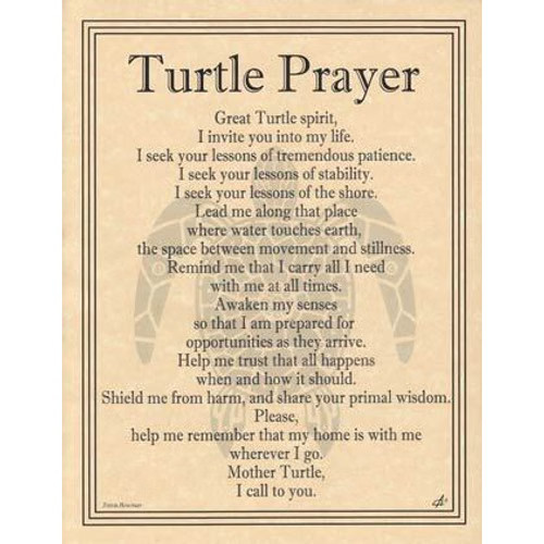 Turtle Prayer poster