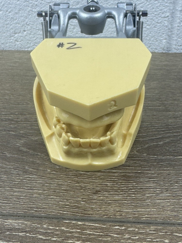 Kilgore Nissin TRM-480 Typodont Edentulous Partial Denture Model Practice