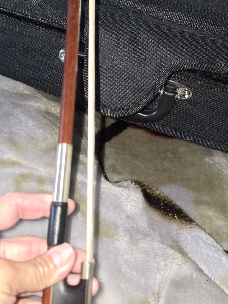 Genial Violin 4/4 Size