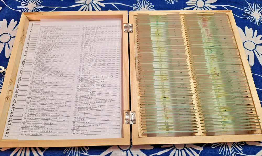 AmScope PS100B Microscope Glass Slide - 100 Count