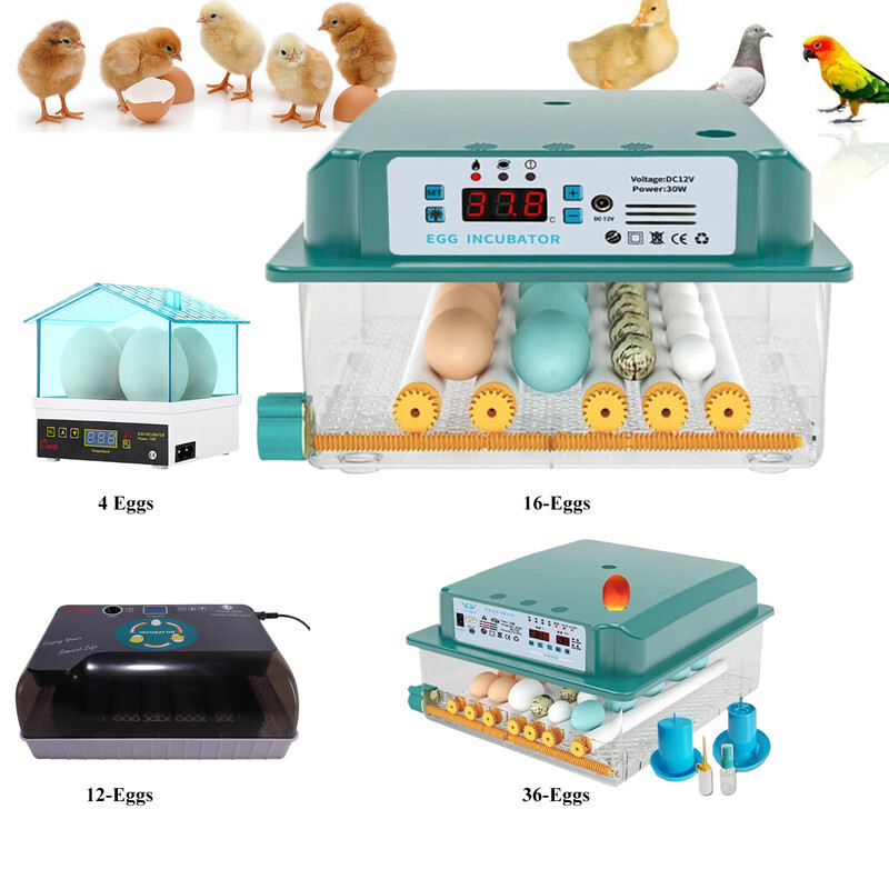 4/12/36Egg Incubator Chicken Hatcher Automatic Egg Turning Temperature Control