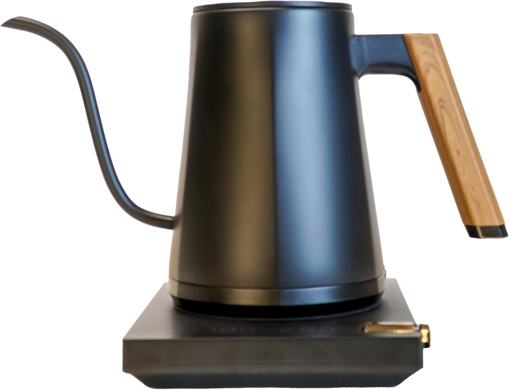 Turin Electric Gooseneck Kettle - 600ml with Temp Control & Fast Heating