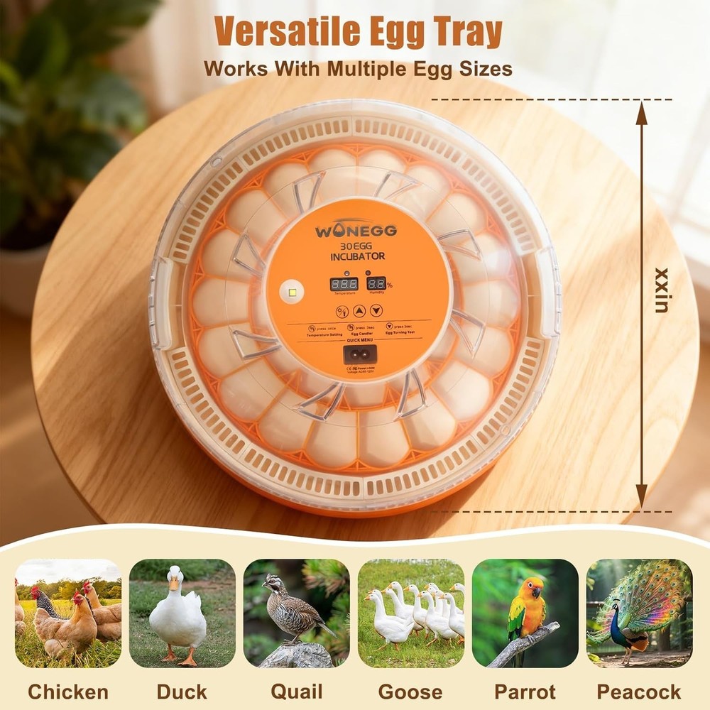 30 Egg Incubator with Humidity Display, Egg Candler, Automatic Egg Turner, for H