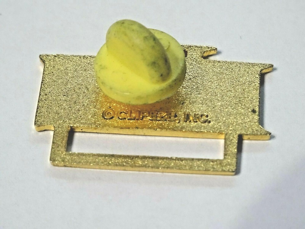 LPN ~ MULTI-COLORED LPN LAPEL PIN