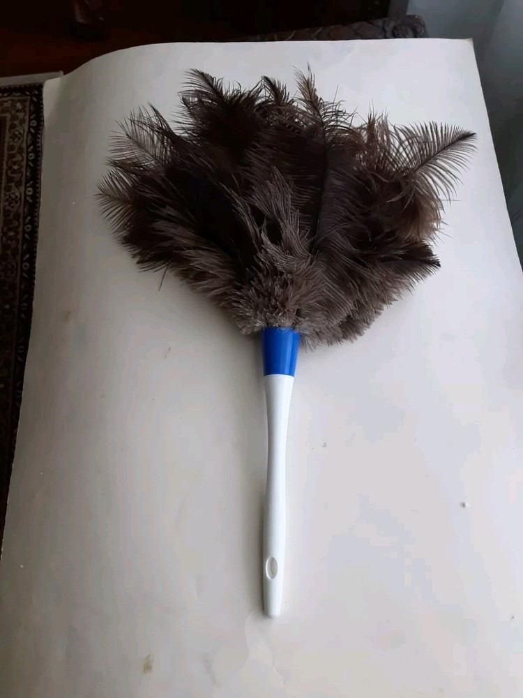 Feather Duster