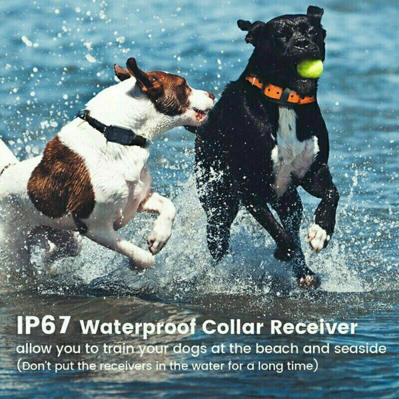 Universal Adjustable Dog Collar Strong Heavy Duty Hand Made For Training