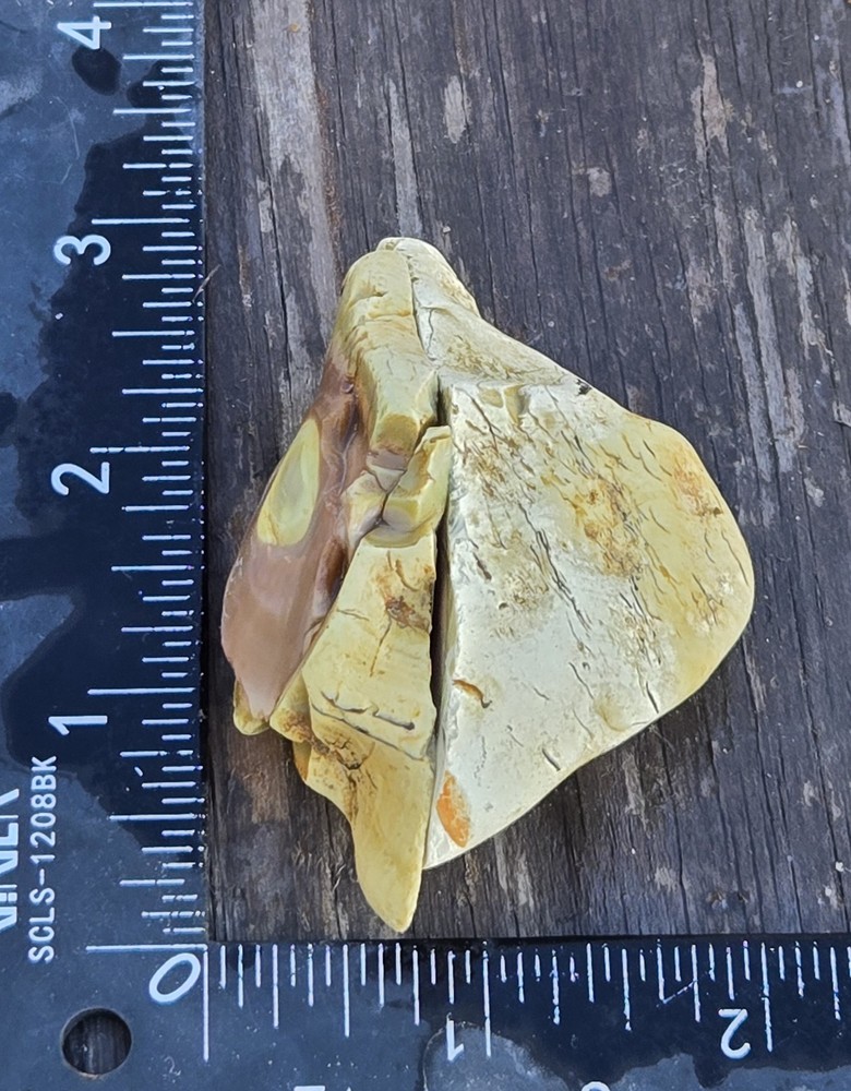 Royal Imperial Jasper Nodule Cut In Half Beautiful Egg Circle Pattern Rough