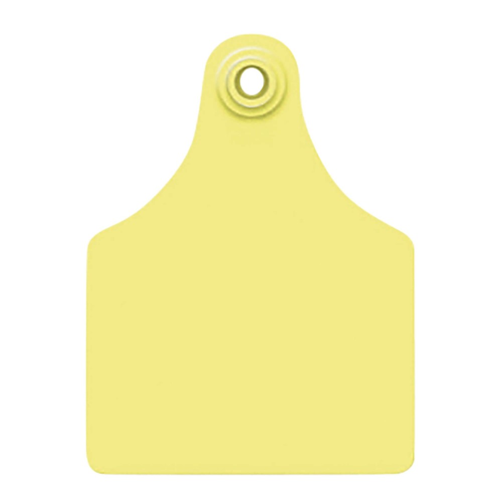 Global Maxi, Blank (25) Color: Yellow