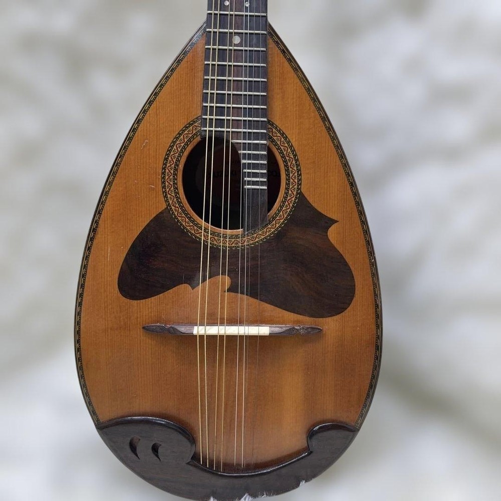 SUZUKI Mandolin M-218 1974