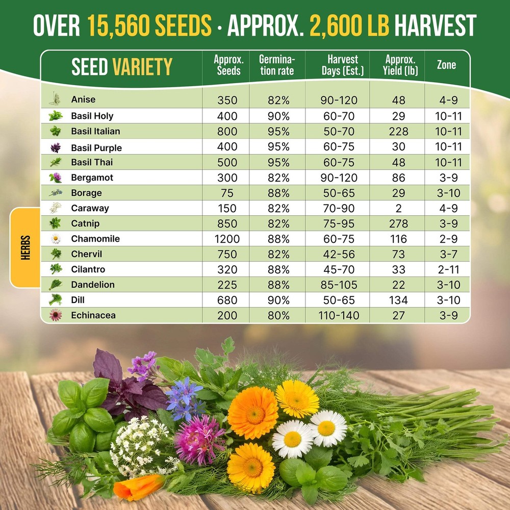 30 Herb Seeds - Medicinal & Tea Variety Pack