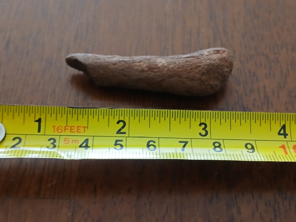 Fossilized bone Unknown specimen New Mexico