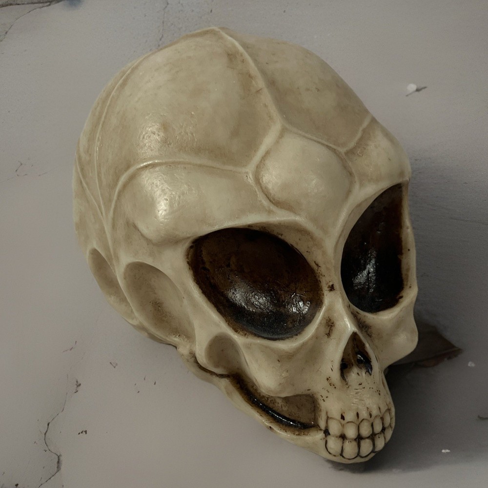 2013 Summit Collection Alien Skull