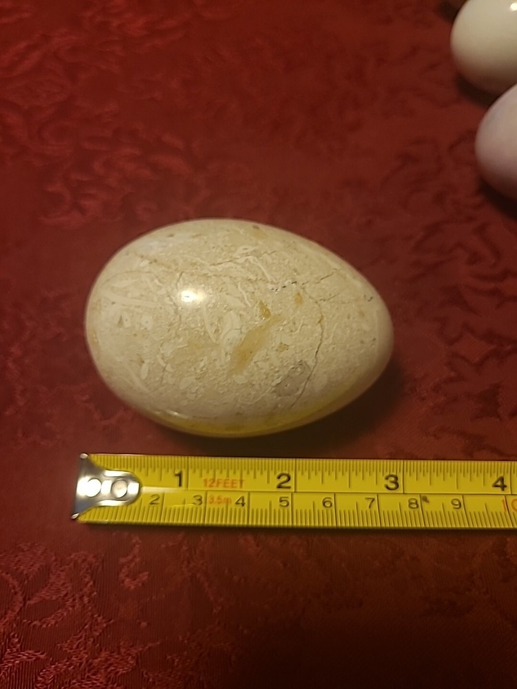 Lot Of 6 Stone Eggs Assorted 3" And Under