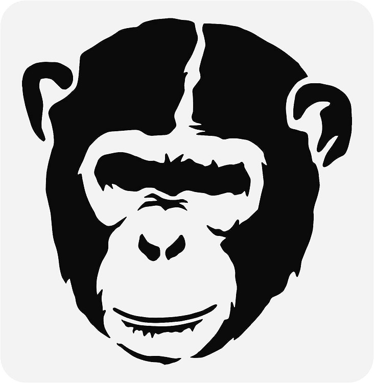 6"x6" Clear Plastic Stencil - Chimp (SC447)