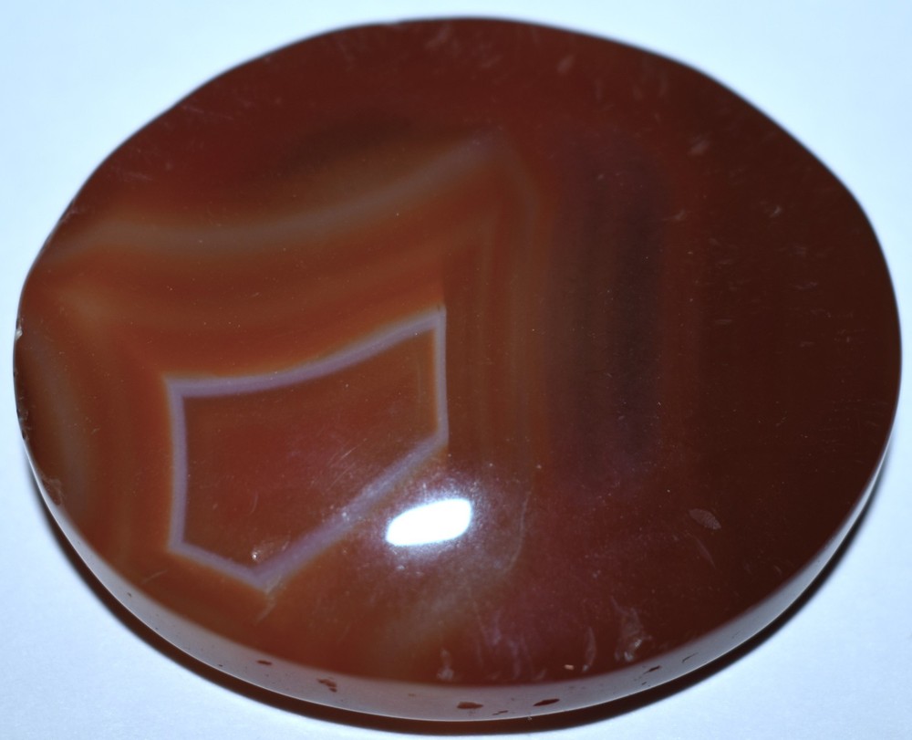 Beautiful Agate Palm Stone 2.14"/53 Grams