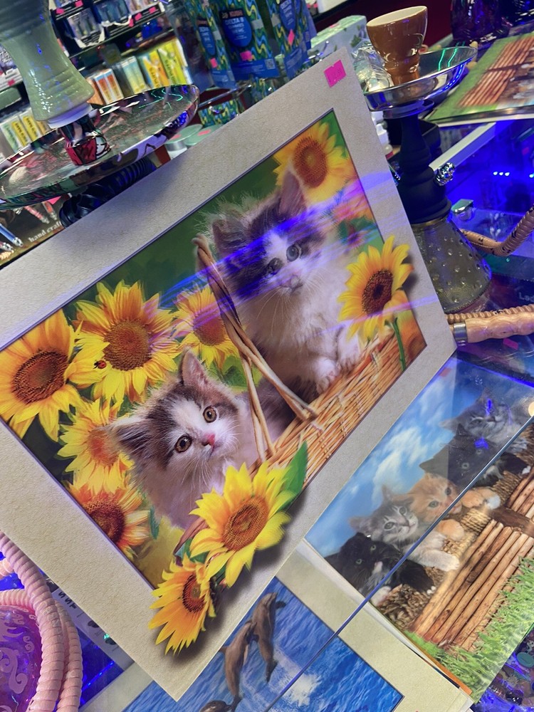 picture 3d