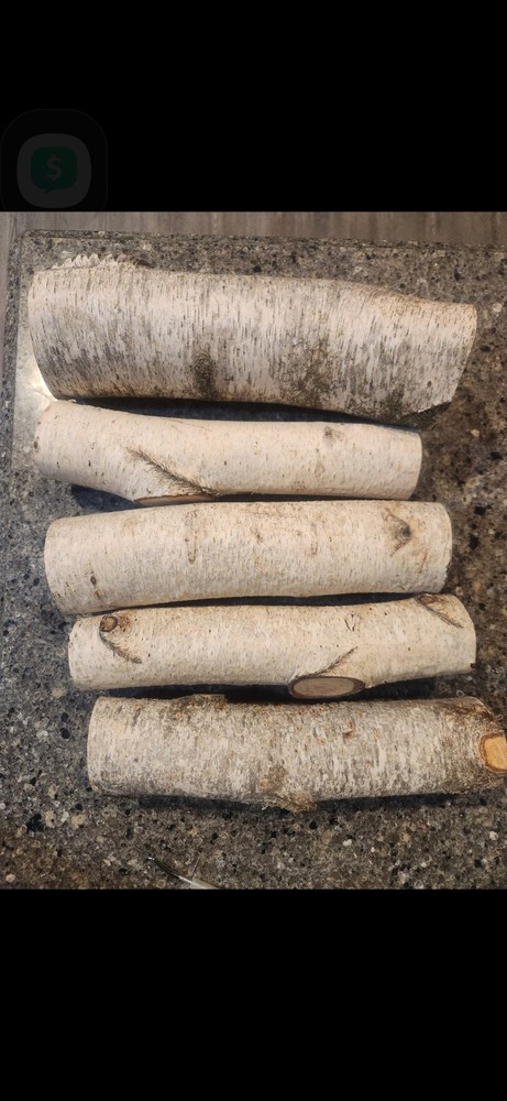 White Birch Decorative Log Set