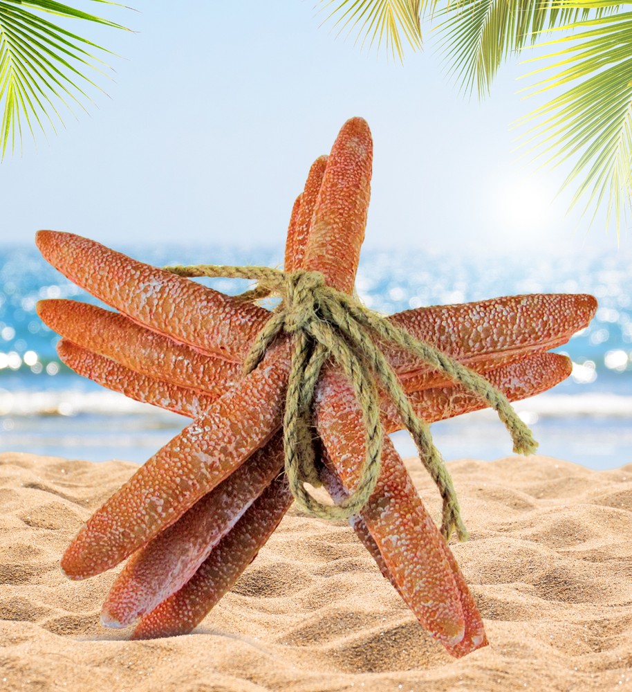 NAUTICAL DÃƒâ€°COR - RESIN ORANGE STARFISH