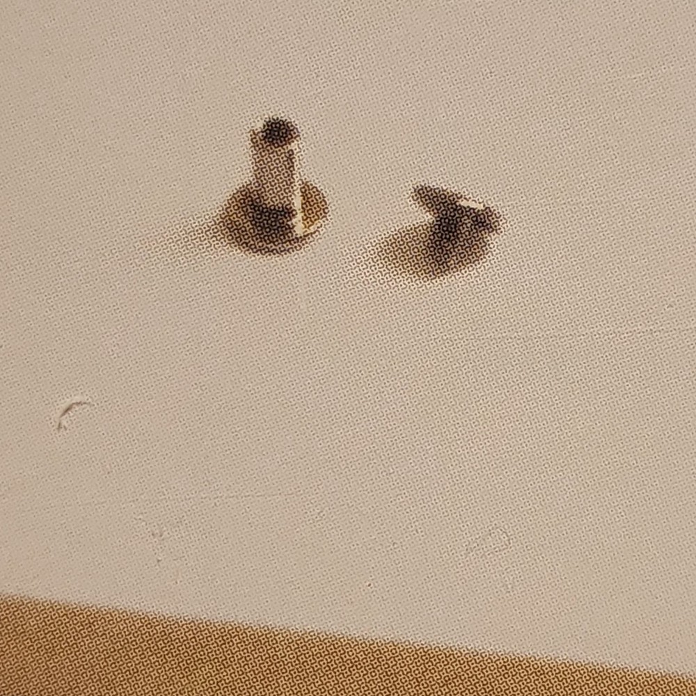 K&Company 10 Top Loading Scrapbook Page Protector 12x12 **READ**