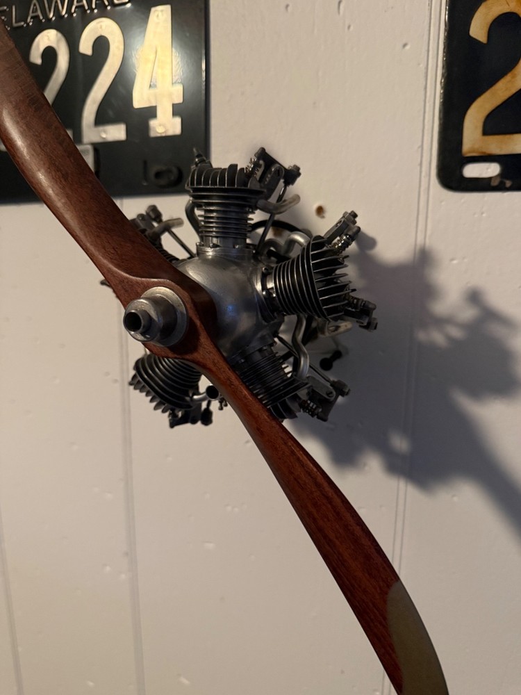 Morton m5 radial
