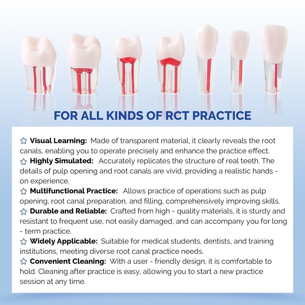 28 Teeth Dental RCT Root Canal Practice Model Endo Typodont Teeth For Training