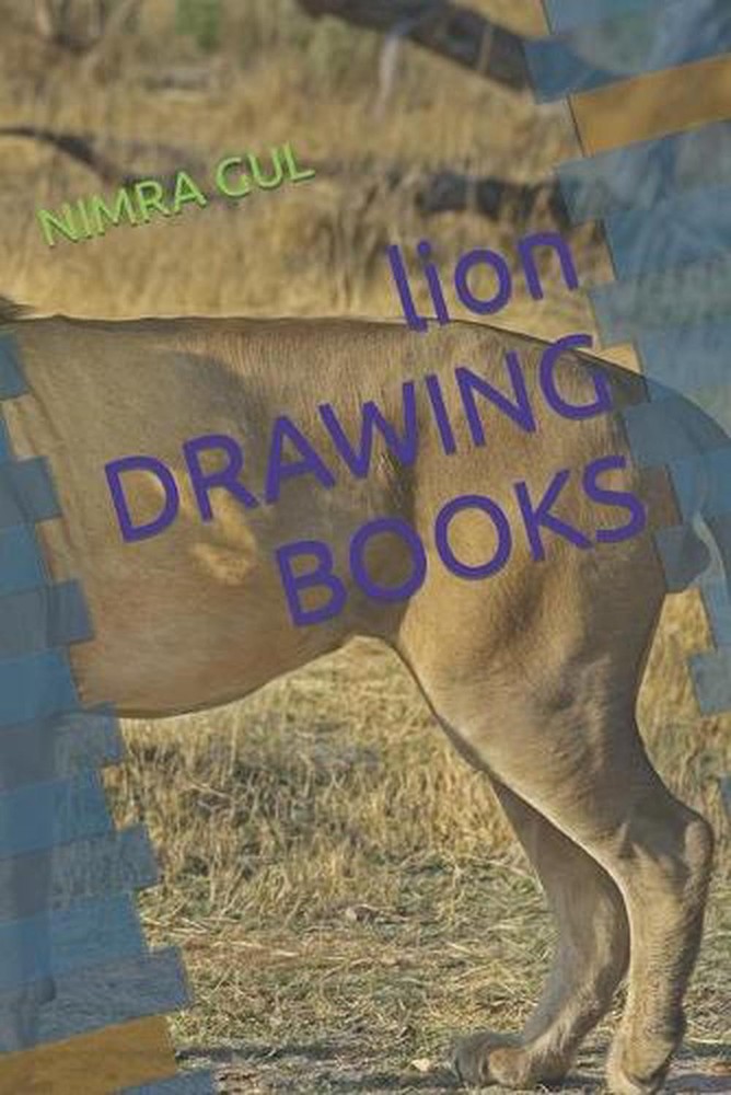 lion DRAWING BOOKS