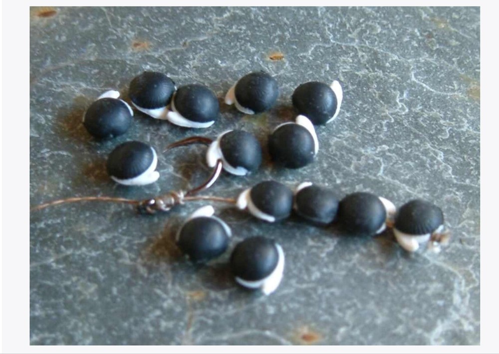 Enterprise Tackle Imitation Sinking Hemp Seed Carp Coarse Fishing Baits