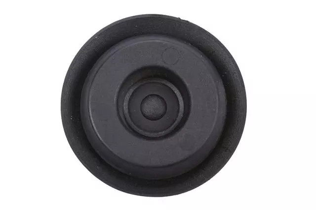 Genuine GM Universal Body Plug 21038829