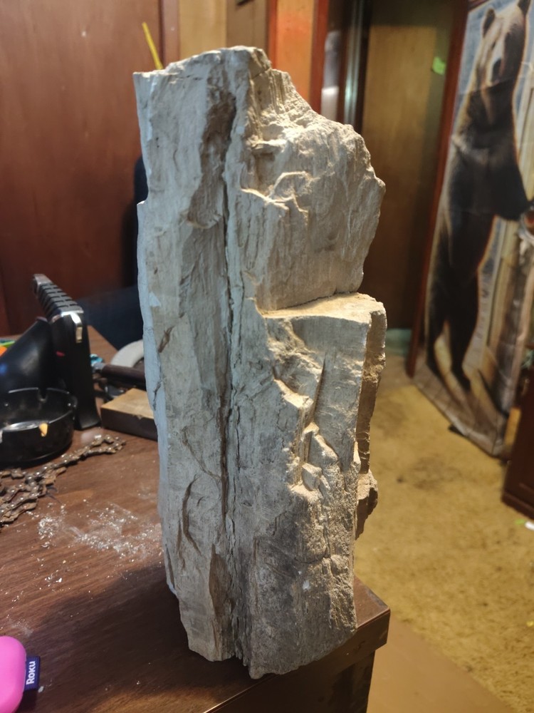 petrified wood