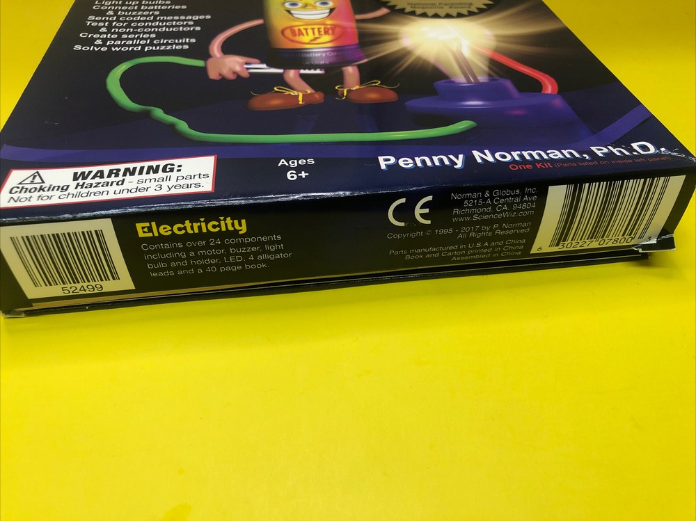 ScienceWiz Electricity 18 Projects Kids Educational Science Book & Activity Kit