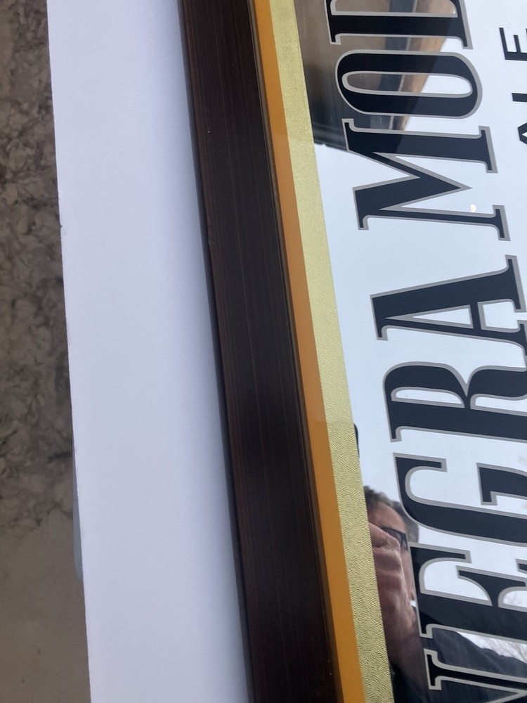 Negra Modelo Mirror Dark Ale