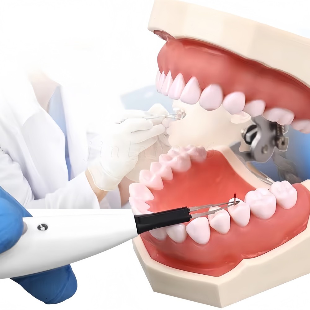Dental Gutta Percha-points Cutter Teeth Tooth Gum Cutting Machine with 4 Tips US