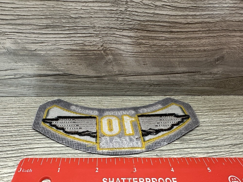 Harley Davidson HOG Owners Group Winged 10 Year Member Patch