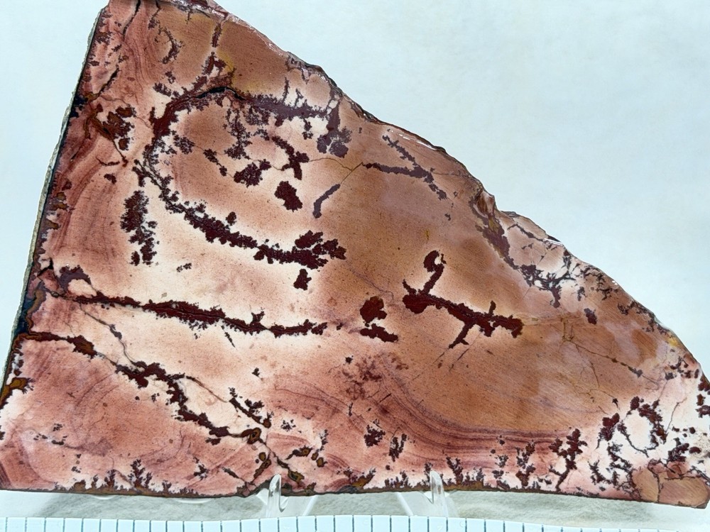 Dead Camel Jasper Slab Set, Lot #389