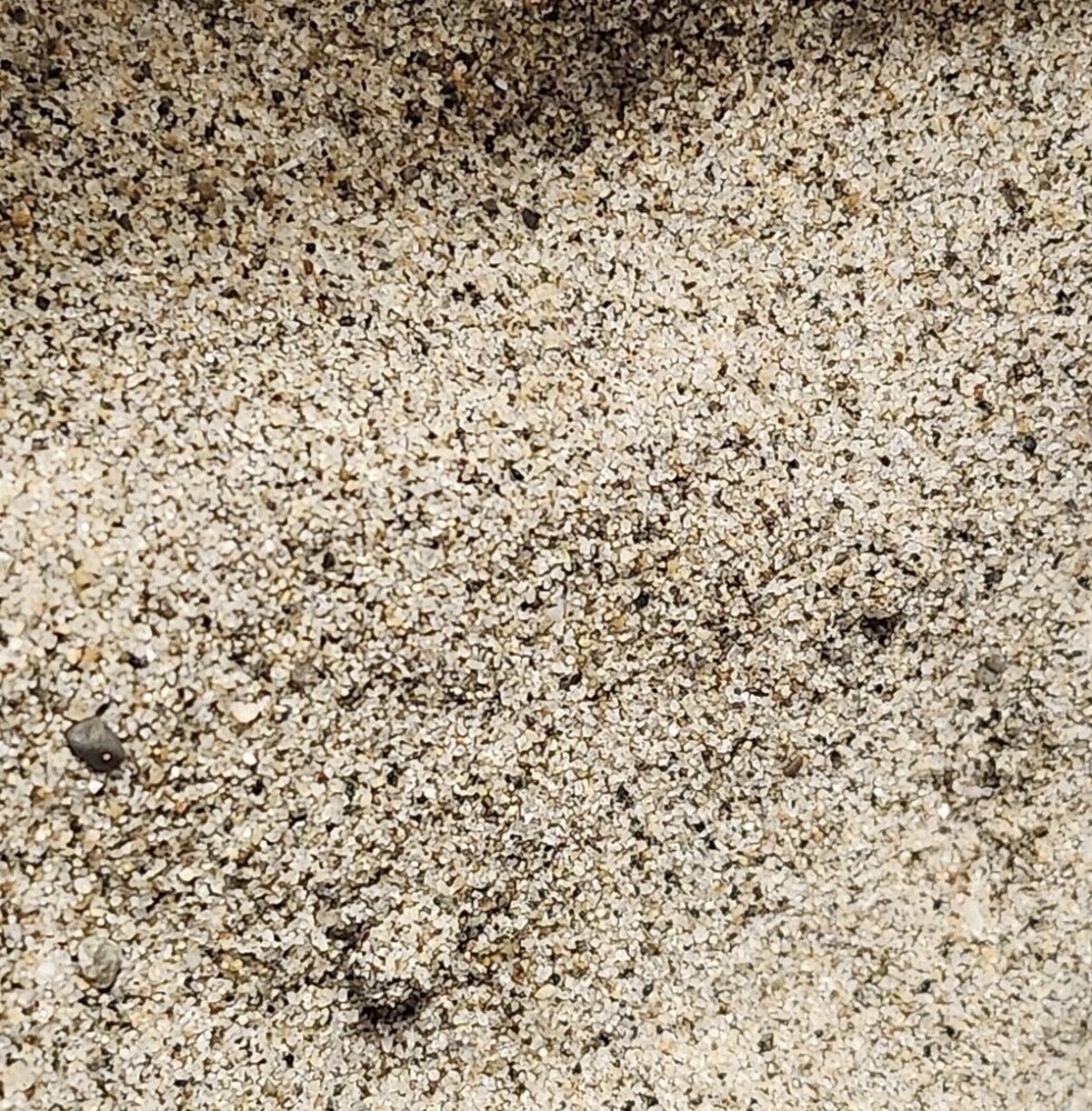 Karate Kid Beach Sand Relic Prop Memorabilia