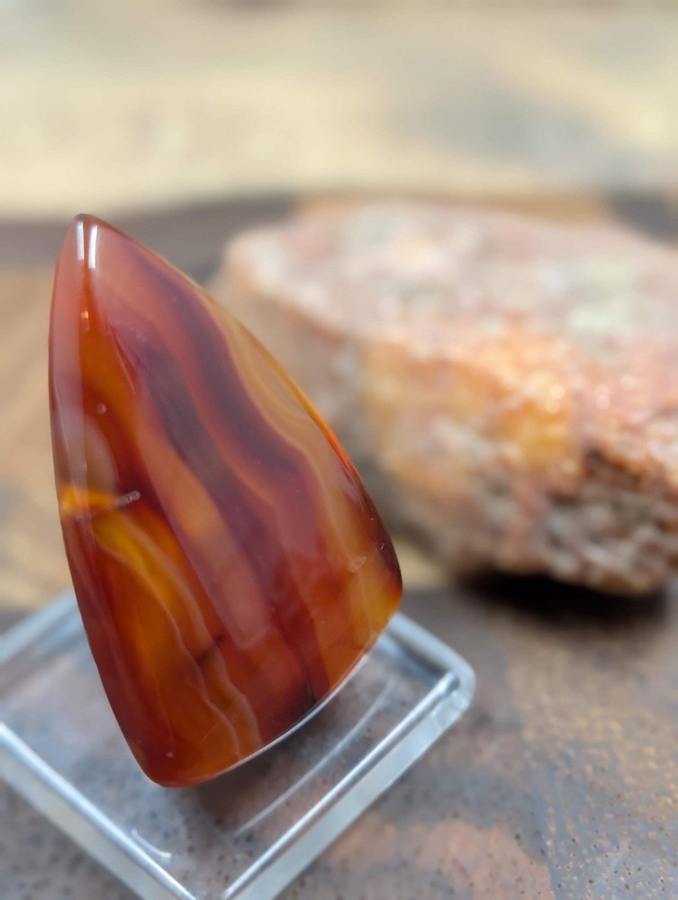 Carnelian - Morocco - 1 pc Cabochon