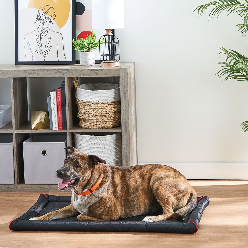 Durable & Water-Resistant Dog Crate Mat, Black, 42"