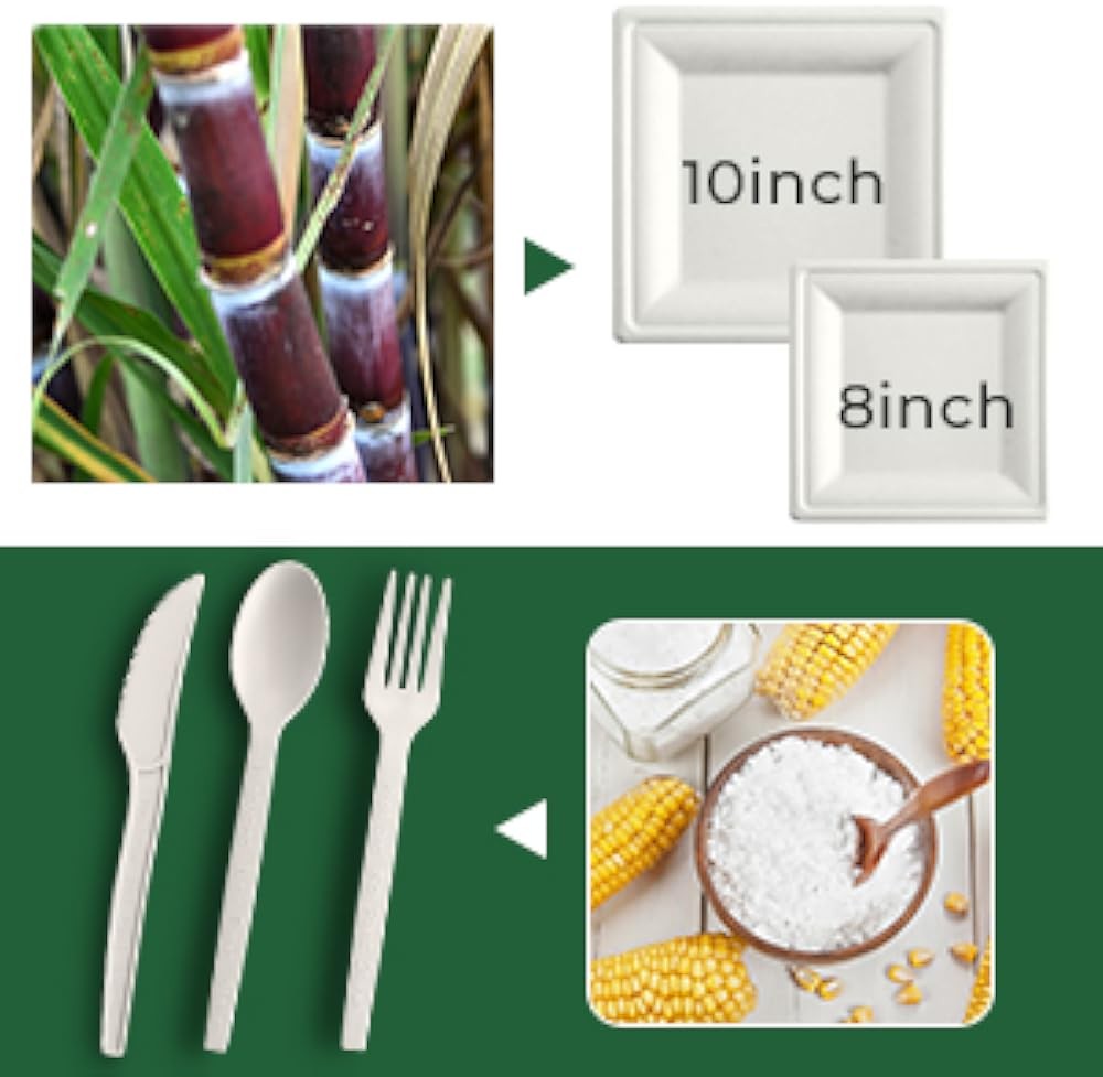 postable Paper Plates, and Biodegradable Set Includes Forks Spoons