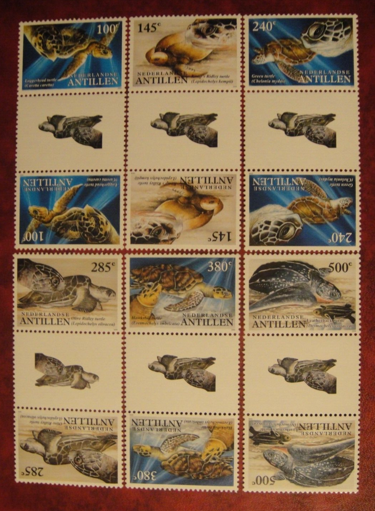 Netherlandse Antilles 2004. Turtles. Pairs Mint Unhinged.