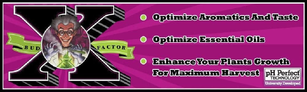 Zukool Advanced Nutrients Bud Factor X 1 Liter - flower booster bloom enhancer
