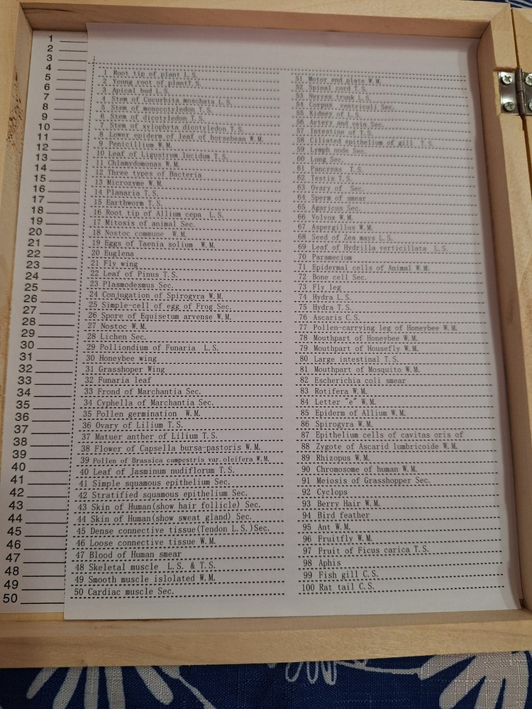 AmScope PS100B Microscope Glass Slide - 100 Count