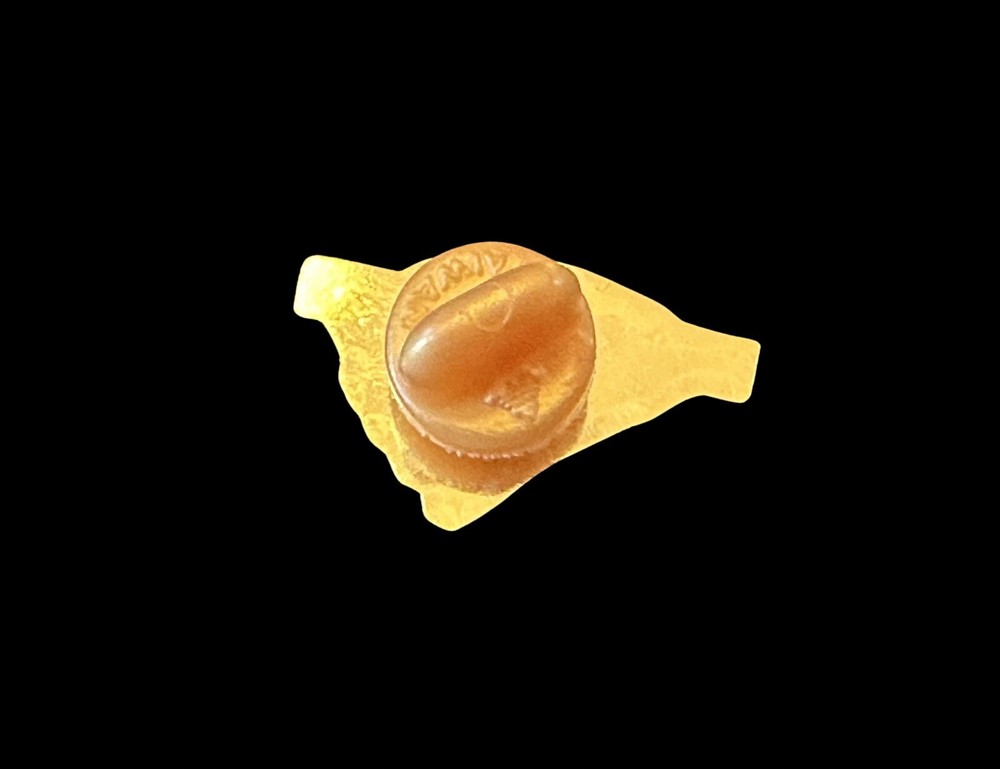 South Carolina State Souviner Pin
