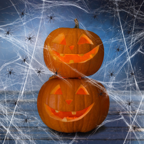 Halloween Spider Web with Black Spider Stretchable Cobweb Party Decoration