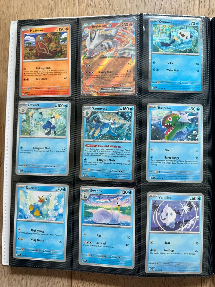 Both Black Bolt & White Flare Complete Base Sets in Black Bolt Binder (incl EXs)