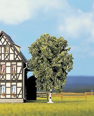 Noch 21640 4" Birch Tree - Professional Grade