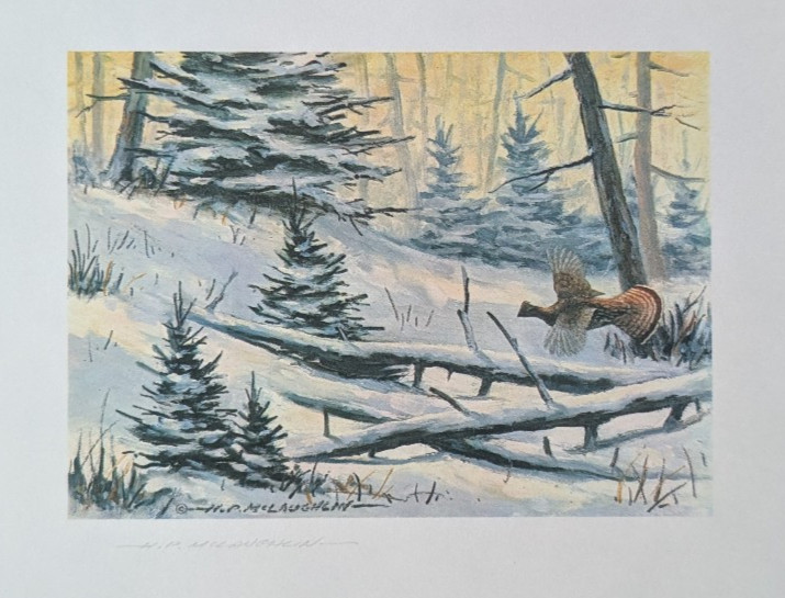 H.P. McLaughlin Grouse print - Wildlife Painter