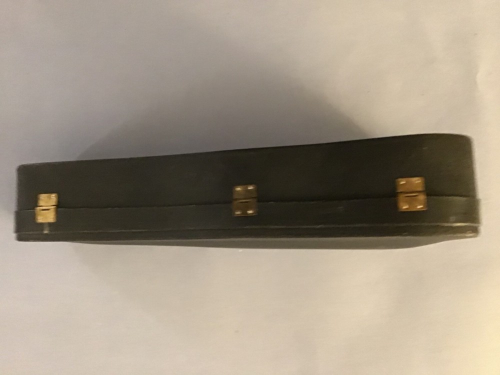 Mini Decorative Violin with case